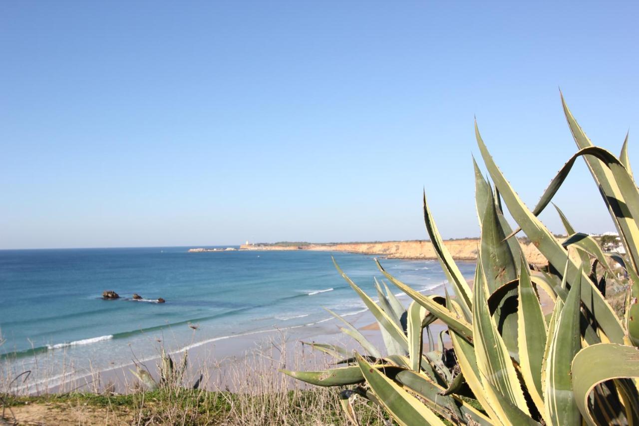 Conil Benavent Apartamento